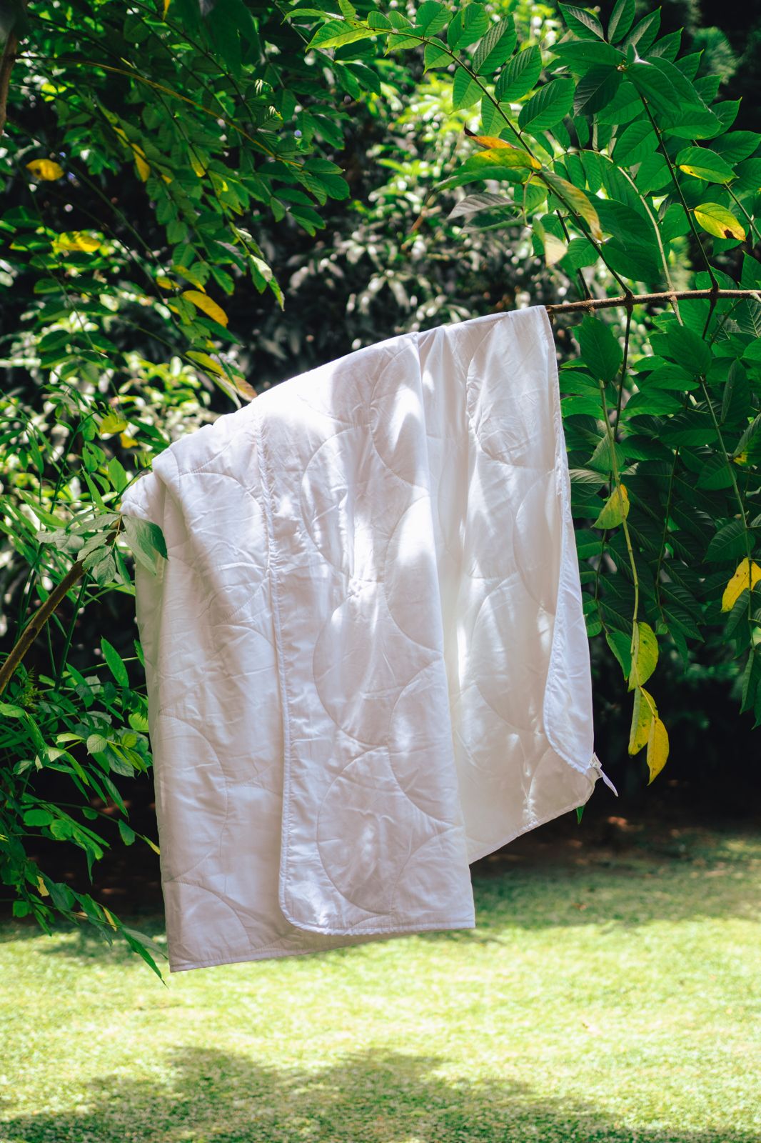 How on Earth Does a Tree Become a Duvet?